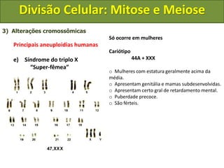 3) Alterações cromossômicas
Principais aneuploidias humanas
e) Síndrome do triplo X
“Super-fêmea”
Só ocorre em mulheres
Cariótipo
44A + XXX
o Mulheres com estatura geralmente acima da
média.
o Apresentam genitália e mamas subdesenvolvidas.
o Apresentam certo gral de retardamento mental.
o Puberdade precoce.
o São férteis.
Divisão Celular: Mitose e Meiose
 