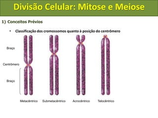 1) Conceitos Prévios
• Classificação dos cromossomos quanto à posição do centrômero
Braço
Braço
Centrômero
Metacêntrico Submetacêntrico Acrocêntrico Telocêntrico
Divisão Celular: Mitose e Meiose
 