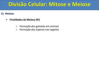 3) Meiose
 Finalidades da Meiose (R!)
o Formação dos gametas em animais
o Formação dos esporos nos vegetais
Divisão Celular: Mitose e Meiose
 