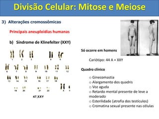 3) Alterações cromossômicas
Principais aneuploidias humanas
b) Síndrome de Klinefelter (XXY)
Só ocorre em homens
Cariótipo: 44 A + XXY
Quadro clínico
o Ginecomastia
o Alargamento dos quadris
o Voz aguda
o Retardo mental presente de leve a
moderado
o Esterilidade (atrofia dos testículos)
o Cromatina sexual presente nas células
Divisão Celular: Mitose e Meiose
 