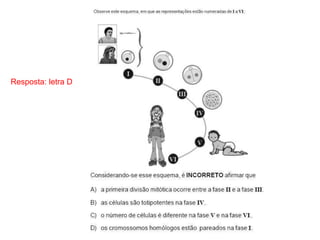 Resposta: letra D
 