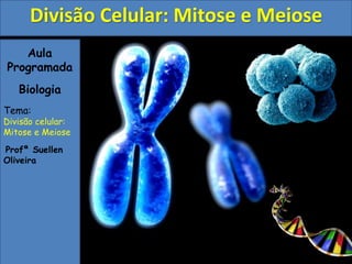 Aula
Programada
Biologia
Tema:
Divisão celular:
Mitose e Meiose
Profª Suellen
Oliveira
Divisão Celular: Mitose e Meiose
 