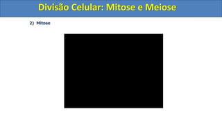 2) Mitose
Divisão Celular: Mitose e Meiose
Divisão Celular: Mitose e Meiose
 