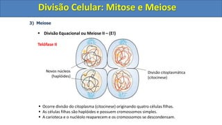 3) Meiose
 Divisão Equacional ou Meiose II – (E!)
Telófase II
 Ocorre divisão do citoplasma (citocinese) originando quatro células filhas.
 As células filhas são haplóides e possuem cromossomos simples.
 A carioteca e o nucléolo reaparecem e os cromossomos se descondensam.
Novos núcleos
(haplóides)
Divisão citoplasmática
(citocinese)
Divisão Celular: Mitose e Meiose
Divisão Celular: Mitose e Meiose
 