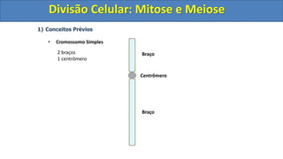 1) Conceitos Prévios
• Cromossomo Simples
Centrômero
Braço
Braço
2 braços
1 centrômero
Divisão Celular: Mitose e Meiose
Divisão Celular: Mitose e Meiose
 