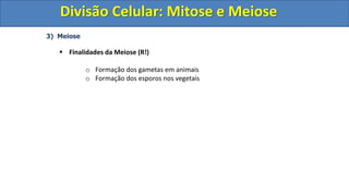 3) Meiose
 Finalidades da Meiose (R!)
o Formação dos gametas em animais
o Formação dos esporos nos vegetais
Divisão Celular: Mitose e Meiose
Divisão Celular: Mitose e Meiose
 