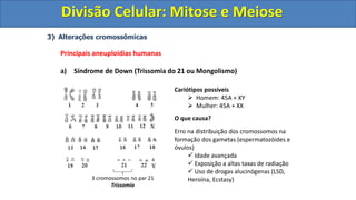 3) Alterações cromossômicas
Principais aneuploidias humanas
a) Síndrome de Down (Trissomia do 21 ou Mongolismo)
3 cromossomos no par 21
Trissomia
Cariótipos possíveis
 Homem: 45A + XY
 Mulher: 45A + XX
O que causa?
Erro na distribuição dos cromossomos na
formação dos gametas (espermatozóides e
óvulos)
 Idade avançada
 Exposição a altas taxas de radiação
 Uso de drogas alucinógenas (LSD,
Heroína, Ecstasy)
Divisão Celular: Mitose e Meiose
Divisão Celular: Mitose e Meiose
 