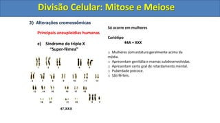 3) Alterações cromossômicas
Principais aneuploidias humanas
e) Síndrome do triplo X
“Super-fêmea”
Só ocorre em mulheres
Cariótipo
44A + XXX
o Mulheres com estatura geralmente acima da
média.
o Apresentam genitália e mamas subdesenvolvidas.
o Apresentam certo gral de retardamento mental.
o Puberdade precoce.
o São férteis.
Divisão Celular: Mitose e Meiose
Divisão Celular: Mitose e Meiose
 