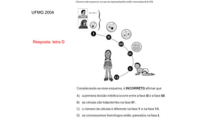 INTERFASE QUE PRECEDE A DIVISÃO
Resposta: letra D
UFMG 2004
 