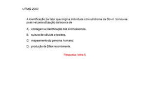 INTERFASE QUE PRECEDE A DIVISÃO
Resposta: letra A
UFMG 2003
 