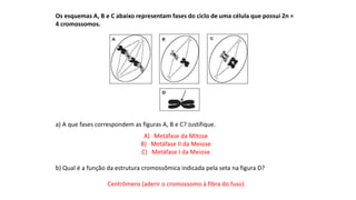 INTERFASE QUE PRECEDE A DIVISÃO
Os esquemas A, B e C abaixo representam fases do ciclo de uma célula que possui 2n =
4 cromossomos.
a) A que fases correspondem as figuras A, B e C? Justifique.
A) Metáfase da Mitose
B) Metáfase II da Meiose
C) Metáfase I da Meiose
b) Qual é a função da estrutura cromossômica indicada pela seta na figura D?
Centrômero (aderir o cromossomo à fibra do fuso)
 