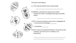 INTERFASE QUE PRECEDE A DIVISÃO
Com base nessas figuras,
a) CITE o tipo de divisão celular representado.
______________________________________.
b) INDIQUE a sequência de números que melhor
representa a ordem cronológica das etapas da divisão
celular.
____________________________________.
c) CITE o número da etapa em que ocorre a segregação de
1. Cromossomos homólogos: ________.
2. Cromátides: ________.
d) CITE o nome do importante fenômeno, do ponto de vista
evolutivo, que ocorre em III. Justifique a sua
importância.
_____________________________________________
__________________________________________.
 
