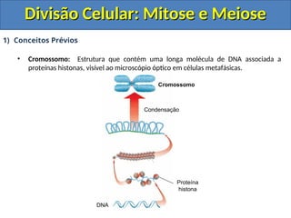 1) Conceitos Prévios
• Cromossomo: Estrutura que contém uma longa molécula de DNA associada a
proteínas histonas, visível ao microscópio óptico em células metafásicas.
Proteína
histona
Condensação
Cromossomo
DNA
Divisão Celular: Mitose e Meiose
Divisão Celular: Mitose e Meiose
 