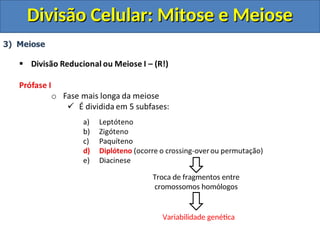 Troca de fragmentos entre
cromossomos homólogos
Variabilidade genética
Divisão Celular: Mitose e Meiose
Divisão Celular: Mitose e Meiose
 