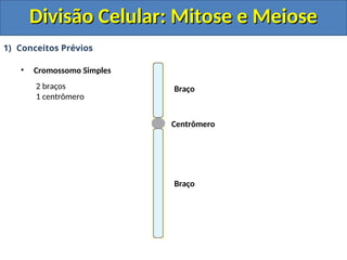 1) Conceitos Prévios
• Cromossomo Simples
Centrômero
Braço
Braço
2 braços
1 centrômero
Divisão Celular: Mitose e Meiose
Divisão Celular: Mitose e Meiose
 