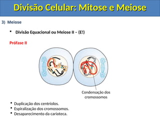 3) Meiose
 Divisão Equacional ou Meiose II – (E!)
Prófase II
 Duplicação dos centríolos.
 Espiralização dos cromossomos.
 Desaparecimento da carioteca.
Condensação dos
cromossomos
Divisão Celular: Mitose e Meiose
Divisão Celular: Mitose e Meiose
 