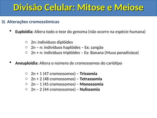 3) Alterações cromossômicas
 Euploidia: Altera todo o teor do genoma (não ocorre na espécie humana)
o 2n: indivíduos diplóides
o 2n – n: indivíduos haplóides – Ex: zangão
o 2n + n: indivíduos triplóides – Ex: Banana (Musa paradisíaca)
 Aneuploidia: Altera o número de cromossomos do cariótipo
o 2n + 1 (47 cromossomos) – Trissomia
o 2n + 2 (48 cromossomos) – Tetrassomia
o 2n – 1 (45 cromossomos) – Monossomia
o 2n – 2 (44 cromossomos) – Nulissomia
Divisão Celular: Mitose e Meiose
Divisão Celular: Mitose e Meiose
 