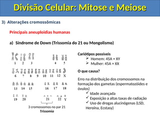3) Alterações cromossômicas
Principais aneuploidias humanas
a) Síndrome de Down (Trissomia do 21 ou Mongolismo)
3 cromossomos no par 21
Trissomia
Cariótipos possíveis
 Homem: 45A + XY
 Mulher: 45A + XX
O que causa?
Erro na distribuição dos cromossomos na
formação dos gametas (espermatozóides e
óvulos)
 Idade avançada
 Exposição a altas taxas de radiação
 Uso de drogas alucinógenas (LSD,
Heroína, Ecstasy)
Divisão Celular: Mitose e Meiose
Divisão Celular: Mitose e Meiose
 