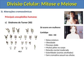 3) Alterações cromossômicas
Principais aneuploidias humanas
c) Síndrome de Turner (X0)
Só ocorre em mulheres
Cariótipo
44A + X0
o Baixa estatura
o Obesidade
o Pescoço alado
o Muitos pêlos no corpo
o Retardo mental moderado
o Esterilidade (ovários atrofiados)
o Sem cromatina sexual nas células
Divisão Celular: Mitose e Meiose
Divisão Celular: Mitose e Meiose
 