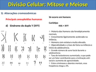 3) Alterações cromossômicas
Principais aneuploidias humanas
d) Síndrome do duplo Y (XYY)
Só ocorre em homens
Cariótipo
44A + XYY
o Maioria dos homens são fenotipicamente
normais.
o Crescimento ligeiramente acelerado na
Infância.
o Homens com estatura muito elevada.
o Hiperatividade e crises de fúria na infância e
início da adolescência.
o Grande número de acne facial durante a
adolescência;
o Taxa de testosterona aumentada, o que pode
ser um fator contribuinte para a inclinação anti-
social e aumento de agressividade;
o Entre criminosos e doentes mentais, essa
freqüência chega a 3%.
Divisão Celular: Mitose e Meiose
Divisão Celular: Mitose e Meiose
 
