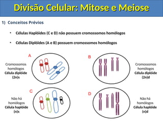 1) Conceitos Prévios
• Células Haplóides (C e D) não possuem cromossomos homólogos
• Células Diplóides (A e B) possuem cromossomos homólogos
Cromossomos
homólogos
Célula diplóide
(2n)s
Cromossomos
homólogos
Célula diplóide
(2n)d
Não há
homólogos
Célula haplóide
(n)d
Não há
homólogos
Célula haplóide
(n)s
A B
C
D
Divisão Celular: Mitose e Meiose
Divisão Celular: Mitose e Meiose
 