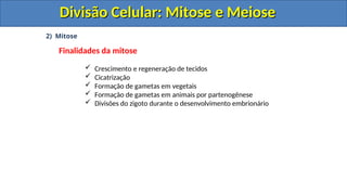 2) Mitose
Finalidades da mitose
 Crescimento e regeneração de tecidos
 Cicatrização
 Formação de gametas em vegetais
 Formação de gametas em animais por partenogênese
 Divisões do zigoto durante o desenvolvimento embrionário
Divisão Celular: Mitose e Meiose
Divisão Celular: Mitose e Meiose
Divisão Celular: Mitose e Meiose
Divisão Celular: Mitose e Meiose
 