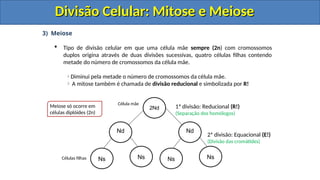 3) Meiose
 Tipo de divisão celular em que uma célula mãe sempre (2n) com cromossomos
duplos origina através de duas divisões sucessivas, quatro células filhas contendo
metade do número de cromossomos da célula mãe.
Diminui pela metade o número de cromossomos da célula mãe.
A mitose também é chamada de divisão reducional e simbolizada por R!
2Nd
Célula mãe
Células filhas Ns Ns
Nd
Ns Ns
Nd
Meiose só ocorre em
células diplóides (2n)
1ª divisão: Reducional (R!)
(Separação dos homólogos)
2ª divisão: Equacional (E!)
(Divisão das cromátides)
Divisão Celular: Mitose e Meiose
Divisão Celular: Mitose e Meiose
Divisão Celular: Mitose e Meiose
Divisão Celular: Mitose e Meiose
 