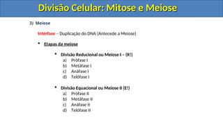 3) Meiose
Intérfase – Duplicação do DNA (Antecede a Meiose)
 Etapas da meiose
 Divisão Reducional ou Meiose I – (R!)
a) Prófase I
b) Metáfase I
c) Anáfase I
d) Telófase I
 Divisão Equacional ou Meiose II (E!)
a) Prófase II
b) Metáfase II
c) Anáfase II
d) Telófase II
Divisão Celular: Mitose e Meiose
Divisão Celular: Mitose e Meiose
Divisão Celular: Mitose e Meiose
Divisão Celular: Mitose e Meiose
 