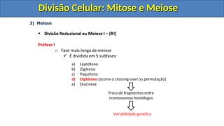 Troca de fragmentos entre
cromossomos homólogos
Variabilidade genética
Divisão Celular: Mitose e Meiose
Divisão Celular: Mitose e Meiose
Divisão Celular: Mitose e Meiose
Divisão Celular: Mitose e Meiose
 
