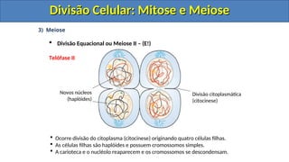 3) Meiose
 Divisão Equacional ou Meiose II – (E!)
Telófase II
 Ocorre divisão do citoplasma (citocinese) originando quatro células filhas.
 As células filhas são haplóides e possuem cromossomos simples.
 A carioteca e o nucléolo reaparecem e os cromossomos se descondensam.
Novos núcleos
(haplóides)
Divisão citoplasmática
(citocinese)
Divisão Celular: Mitose e Meiose
Divisão Celular: Mitose e Meiose
Divisão Celular: Mitose e Meiose
Divisão Celular: Mitose e Meiose
 