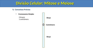 1) Conceitos Prévios
• Cromossomo Simples
Centrômero
Braço
Braço
2 braços
1 centrômero
Divisão Celular: Mitose e Meiose
Divisão Celular: Mitose e Meiose
Divisão Celular: Mitose e Meiose
Divisão Celular: Mitose e Meiose
 
