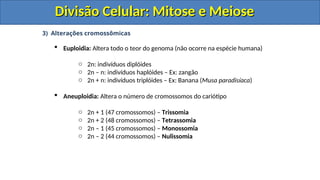 3) Alterações cromossômicas
 Euploidia: Altera todo o teor do genoma (não ocorre na espécie humana)
o 2n: indivíduos diplóides
o 2n – n: indivíduos haplóides – Ex: zangão
o 2n + n: indivíduos triplóides – Ex: Banana (Musa paradisíaca)
 Aneuploidia: Altera o número de cromossomos do cariótipo
o 2n + 1 (47 cromossomos) – Trissomia
o 2n + 2 (48 cromossomos) – Tetrassomia
o 2n – 1 (45 cromossomos) – Monossomia
o 2n – 2 (44 cromossomos) – Nulissomia
Divisão Celular: Mitose e Meiose
Divisão Celular: Mitose e Meiose
Divisão Celular: Mitose e Meiose
Divisão Celular: Mitose e Meiose
 