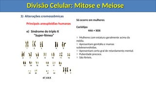 3) Alterações cromossômicas
Principais aneuploidias humanas
e) Síndrome do triplo X
“Super-fêmea”
Só ocorre em mulheres
Cariótipo
44A + XXX
o Mulheres com estatura geralmente acima da
média.
o Apresentam genitália e mamas
subdesenvolvidas.
o Apresentam certo gral de retardamento mental.
o Puberdade precoce.
o São férteis.
Divisão Celular: Mitose e Meiose
Divisão Celular: Mitose e Meiose
Divisão Celular: Mitose e Meiose
Divisão Celular: Mitose e Meiose
 