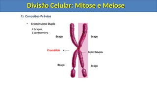 1) Conceitos Prévios
• Cromossomo Duplo
Centrômero
Braço
Braço
Cromátide
Braço
Braço
4 braços
1 centrômero
Divisão Celular: Mitose e Meiose
Divisão Celular: Mitose e Meiose
Divisão Celular: Mitose e Meiose
Divisão Celular: Mitose e Meiose
 