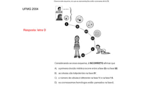 INTERFASE QUE PRECEDE A DIVISÃO
Resposta: letra D
UFMG 2004
 