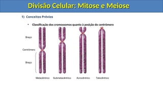 1) Conceitos Prévios
• Classificação dos cromossomos quanto à posição do centrômero
Braço
Braço
Centrômero
Metacêntrico Submetacêntrico Acrocêntrico Telocêntrico
Divisão Celular: Mitose e Meiose
Divisão Celular: Mitose e Meiose
Divisão Celular: Mitose e Meiose
Divisão Celular: Mitose e Meiose
 