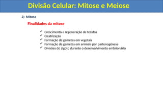 2) Mitose
Finalidades da mitose
 Crescimento e regeneração de tecidos
 Cicatrização
 Formação de gametas em vegetais
 Formação de gametas em animais por partenogênese
 Divisões do zigoto durante o desenvolvimento embrionário
Divisão Celular: Mitose e Meiose
Divisão Celular: Mitose e Meiose
 