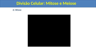 2) Mitose
Divisão Celular: Mitose e Meiose
Divisão Celular: Mitose e Meiose
 