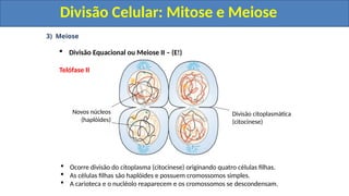 3) Meiose
 Divisão Equacional ou Meiose II – (E!)
Telófase II
 Ocorre divisão do citoplasma (citocinese) originando quatro células filhas.
 As células filhas são haplóides e possuem cromossomos simples.
 A carioteca e o nucléolo reaparecem e os cromossomos se descondensam.
Novos núcleos
(haplóides)
Divisão citoplasmática
(citocinese)
Divisão Celular: Mitose e Meiose
Divisão Celular: Mitose e Meiose
 