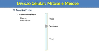 1) Conceitos Prévios
• Cromossomo Simples
Centrômero
Braço
Braço
2 braços
1 centrômero
Divisão Celular: Mitose e Meiose
Divisão Celular: Mitose e Meiose
 