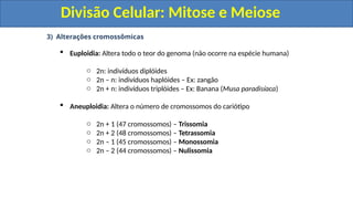 3) Alterações cromossômicas
 Euploidia: Altera todo o teor do genoma (não ocorre na espécie humana)
o 2n: indivíduos diplóides
o 2n – n: indivíduos haplóides – Ex: zangão
o 2n + n: indivíduos triplóides – Ex: Banana (Musa paradisíaca)
 Aneuploidia: Altera o número de cromossomos do cariótipo
o 2n + 1 (47 cromossomos) – Trissomia
o 2n + 2 (48 cromossomos) – Tetrassomia
o 2n – 1 (45 cromossomos) – Monossomia
o 2n – 2 (44 cromossomos) – Nulissomia
Divisão Celular: Mitose e Meiose
Divisão Celular: Mitose e Meiose
 