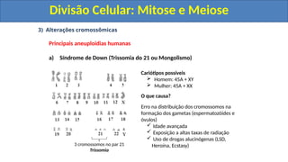 3) Alterações cromossômicas
Principais aneuploidias humanas
a) Síndrome de Down (Trissomia do 21 ou Mongolismo)
3 cromossomos no par 21
Trissomia
Cariótipos possíveis
 Homem: 45A + XY
 Mulher: 45A + XX
O que causa?
Erro na distribuição dos cromossomos na
formação dos gametas (espermatozóides e
óvulos)
 Idade avançada
 Exposição a altas taxas de radiação
 Uso de drogas alucinógenas (LSD,
Heroína, Ecstasy)
Divisão Celular: Mitose e Meiose
Divisão Celular: Mitose e Meiose
 