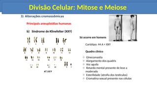 3) Alterações cromossômicas
Principais aneuploidias humanas
b) Síndrome de Klinefelter (XXY)
Só ocorre em homens
Cariótipo: 44 A + XXY
Quadro clínico
o Ginecomastia
o Alargamento dos quadris
o Voz aguda
o Retardo mental presente de leve a
moderado
o Esterilidade (atrofia dos testículos)
o Cromatina sexual presente nas células
Divisão Celular: Mitose e Meiose
Divisão Celular: Mitose e Meiose
Divisão Celular: Mitose e Meiose
 
