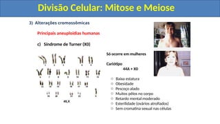 3) Alterações cromossômicas
Principais aneuploidias humanas
c) Síndrome de Turner (X0)
Só ocorre em mulheres
Cariótipo
44A + X0
o Baixa estatura
o Obesidade
o Pescoço alado
o Muitos pêlos no corpo
o Retardo mental moderado
o Esterilidade (ovários atrofiados)
o Sem cromatina sexual nas células
Divisão Celular: Mitose e Meiose
Divisão Celular: Mitose e Meiose
 