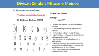3) Alterações cromossômicas
Principais aneuploidias humanas
d) Síndrome do duplo Y (XYY)
Só ocorre em homens
Cariótipo
44A + XYY
o Maioria dos homens são fenotipicamente
normais.
o Crescimento ligeiramente acelerado na
Infância.
o Homens com estatura muito elevada.
o Hiperatividade e crises de fúria na infância e
início da adolescência.
o Grande número de acne facial durante a
adolescência;
o Taxa de testosterona aumentada, o que pode
ser um fator contribuinte para a inclinação anti-
social e aumento de agressividade;
o Entre criminosos e doentes mentais, essa
freqüência chega a 3%.
Divisão Celular: Mitose e Meiose
Divisão Celular: Mitose e Meiose
 