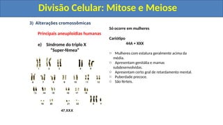 3) Alterações cromossômicas
Principais aneuploidias humanas
e) Síndrome do triplo X
“Super-fêmea”
Só ocorre em mulheres
Cariótipo
44A + XXX
o Mulheres com estatura geralmente acima da
média.
o Apresentam genitália e mamas
subdesenvolvidas.
o Apresentam certo gral de retardamento mental.
o Puberdade precoce.
o São férteis.
Divisão Celular: Mitose e Meiose
Divisão Celular: Mitose e Meiose
 