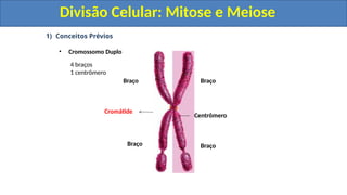 1) Conceitos Prévios
• Cromossomo Duplo
Centrômero
Braço
Braço
Cromátide
Braço
Braço
4 braços
1 centrômero
Divisão Celular: Mitose e Meiose
Divisão Celular: Mitose e Meiose
 