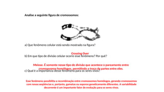 INTERFASE QUE PRECEDE A DIVISÃO
Analise a seguinte figura de cromossomos:
a) Que fenômeno celular está sendo mostrado na figura?
b) Em que tipo de divisão celular ocorre esse fenômeno? Por quê?
c) Qual é a importância desse fenômeno para os seres vivos?
Crossing Over
Meiose. É somente nesse tipo de divisão que acontece o pareamento entre
cromossomos homólogos, permitindo a troca de partes entre eles.
Esse fenômeno possibilita a recombinação entre cromossomos homólogos, gerando cromossomos
com novas seqüências e, portanto, gametas ou esporos geneticamente diferentes. A variabilidade
decorrente é um importante fator de evolução para os seres vivos.
 
