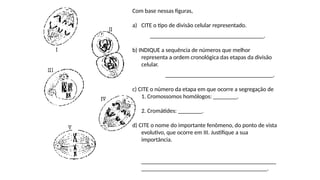 INTERFASE QUE PRECEDE A DIVISÃO
Com base nessas figuras,
a) CITE o tipo de divisão celular representado.
______________________________________.
b) INDIQUE a sequência de números que melhor
representa a ordem cronológica das etapas da divisão
celular.
____________________________________.
c) CITE o número da etapa em que ocorre a segregação de
1. Cromossomos homólogos: ________.
2. Cromátides: ________.
d) CITE o nome do importante fenômeno, do ponto de vista
evolutivo, que ocorre em III. Justifique a sua
importância.
_____________________________________________
__________________________________________.
 