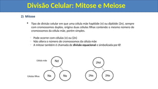 2) Mitose
 Tipo de divisão celular em que uma célula mãe haplóide (n) ou diplóide (2n), sempre
com cromossomos duplos, origina duas células filhas contendo o mesmo número de
cromossomos da célula mãe, porém simples.
Pode ocorrer com células (n) ou (2n)
Não altera o número de cromossomos da célula mãe
A mitose também é chamada de divisão equacional e simbolizada por E!
Nd
Ns Ns
2Nd
2Ns 2Ns
Célula mãe
Células filhas
Divisão Celular: Mitose e Meiose
Divisão Celular: Mitose e Meiose
 